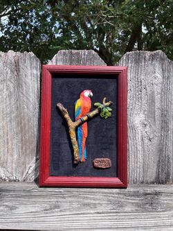 Costa Rica Scarlet Macaw 3D Framed Wall Art
