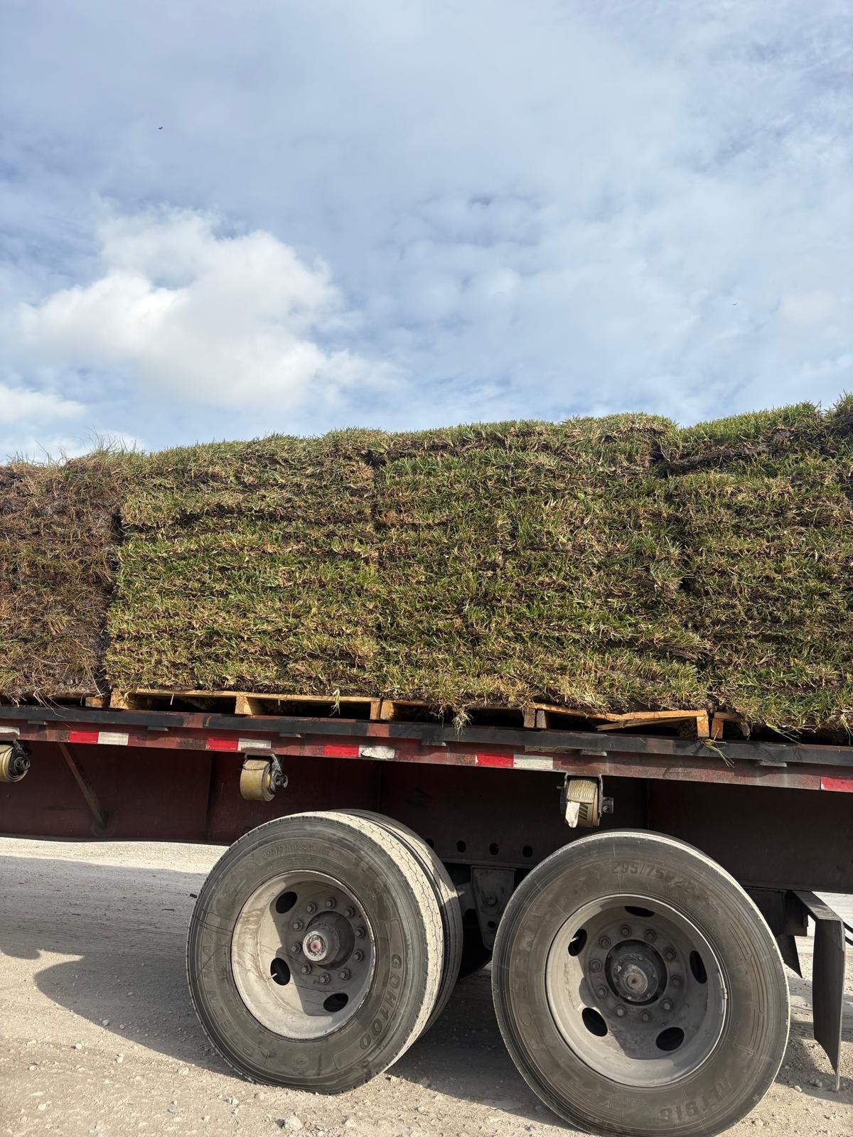 Fresh Sod Available Daily