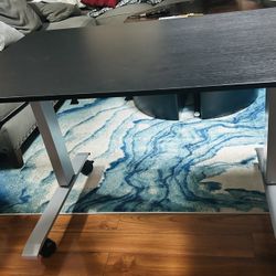 48” Luxor High-end Adjustable Standing Desk (retail $927)
