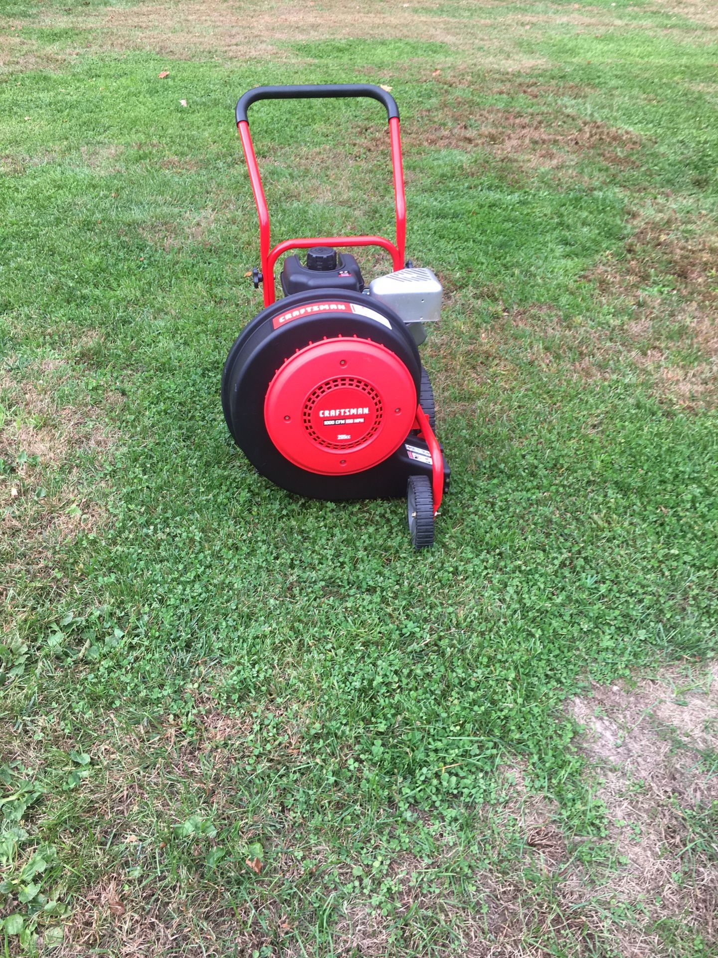 Walk Behind Leaf Blower