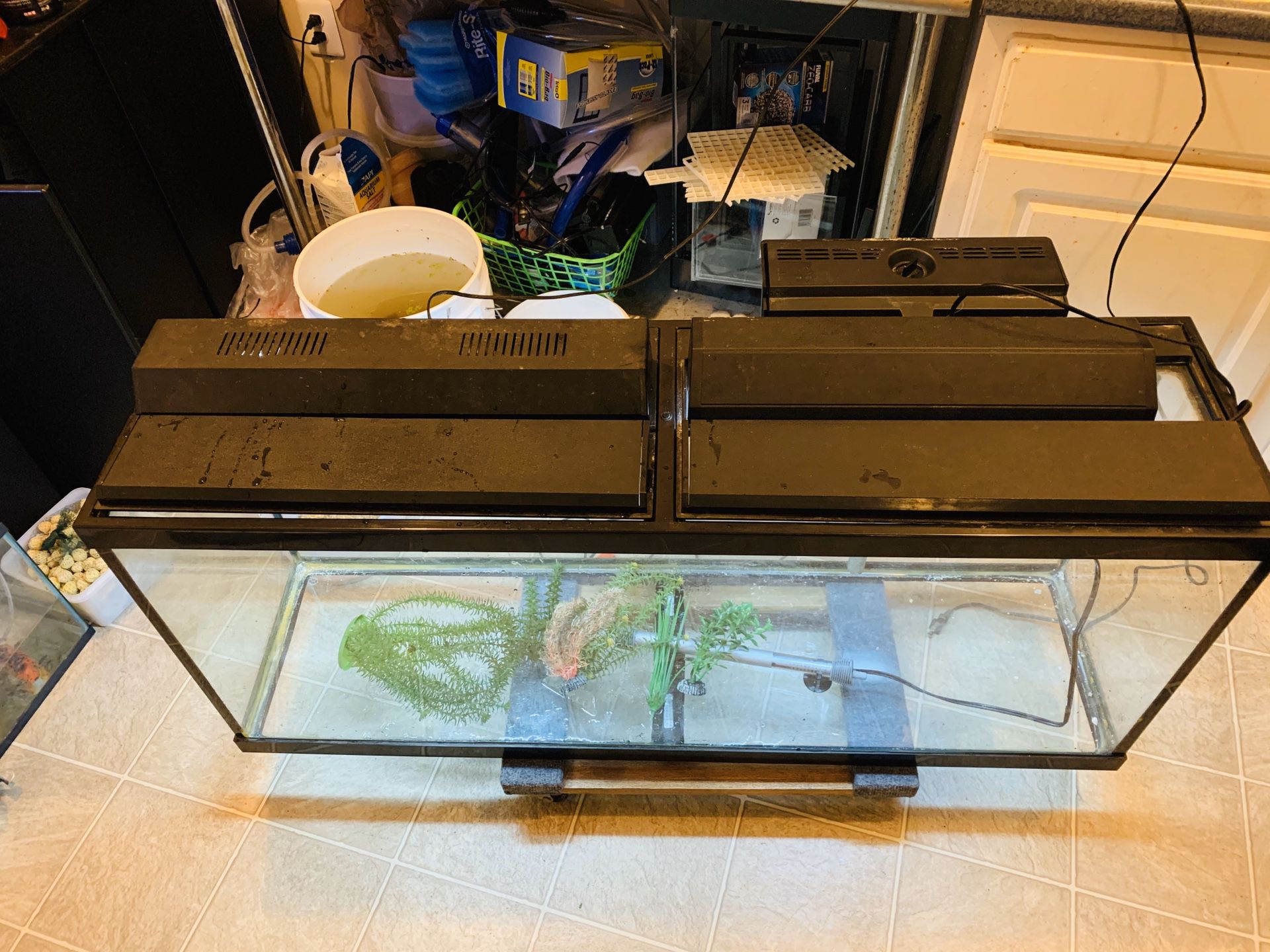 55 gal fish tank and filter light and stand heater