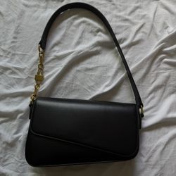 Black Purse 
