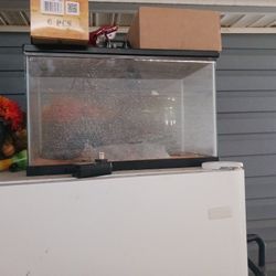 10 Gallon Reptile Tank