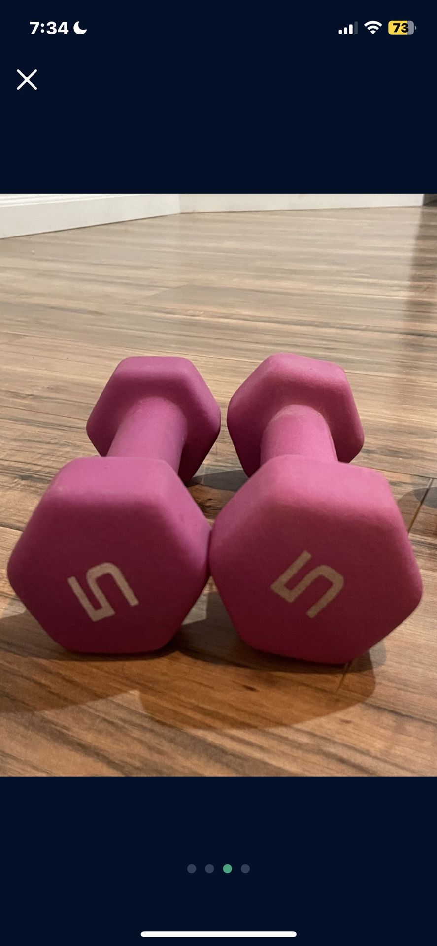 5 Pound Dumbbell Set Of 2