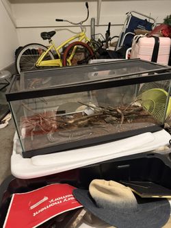 20 Gallon Terrarium