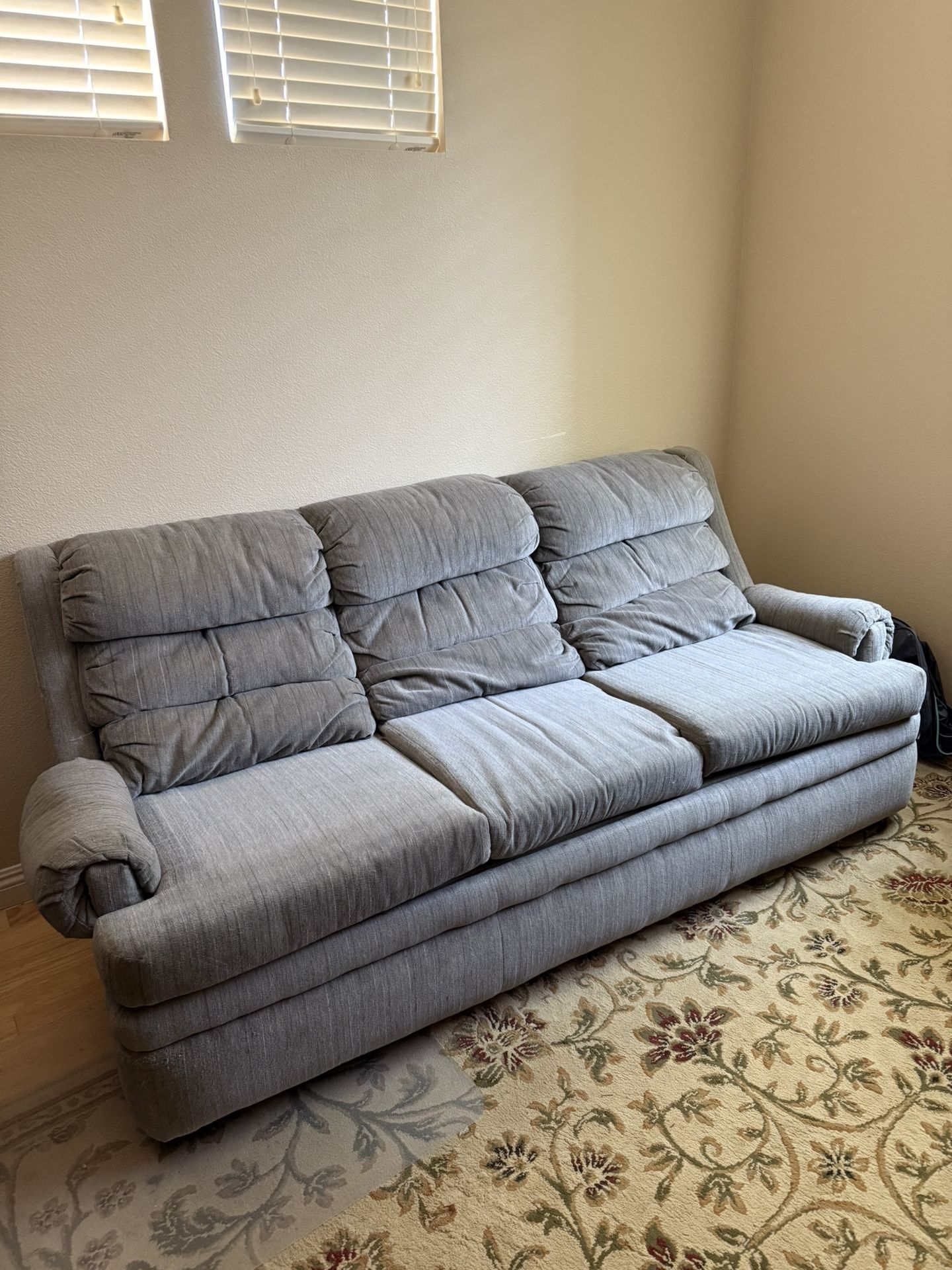 Sleeper Couch Gray