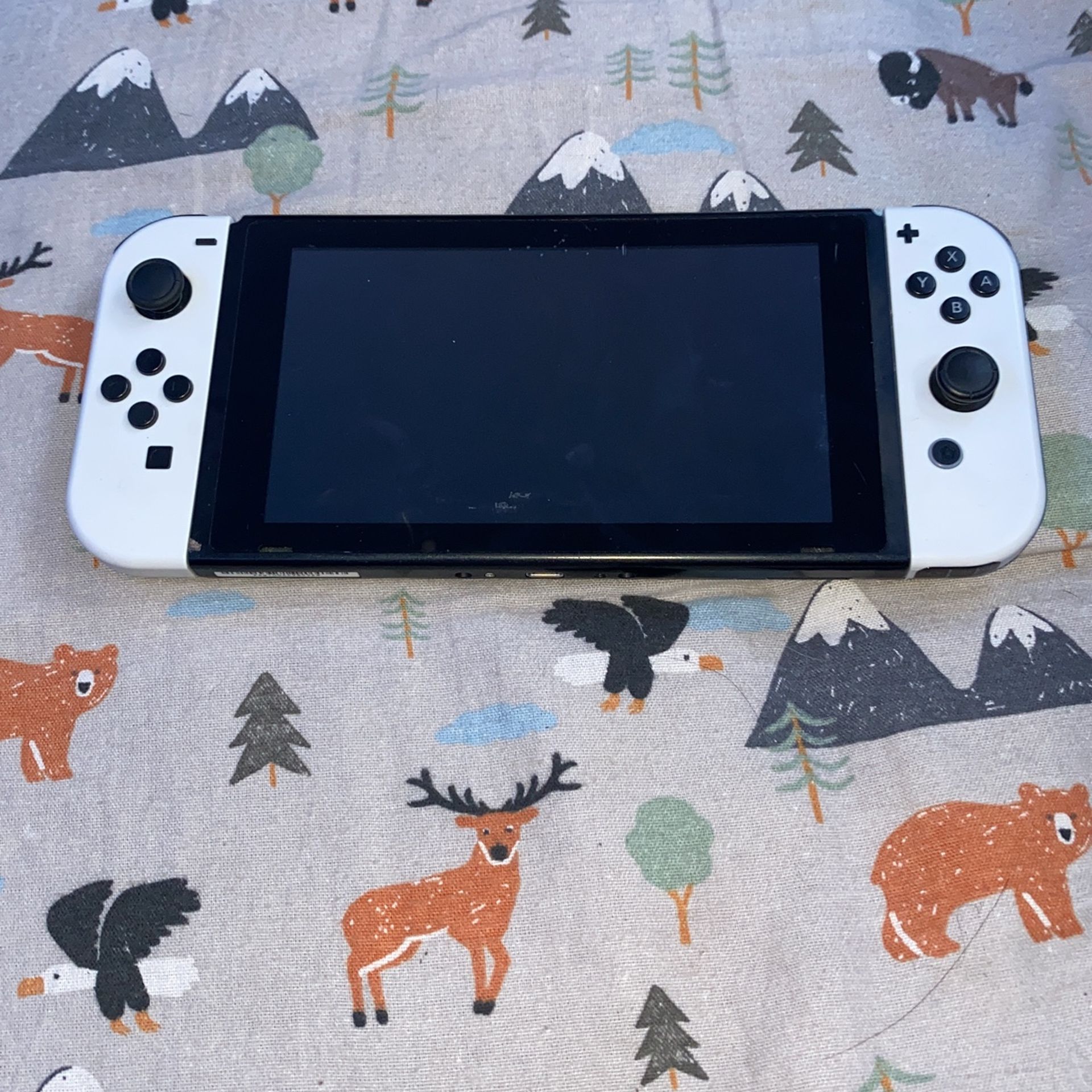 Nintendo Switch + $50 Dollar Controllers