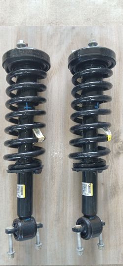 2019 F-150 Oem Front Struts