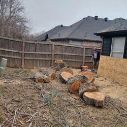 Tree Cut Free Estimate 