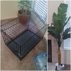 Large Dog Crate & Silk Tree