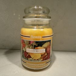Discontinued 22oz Yankee Candle **COLLECTORS ITEM**