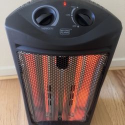 Beyond Flame Space Heater 