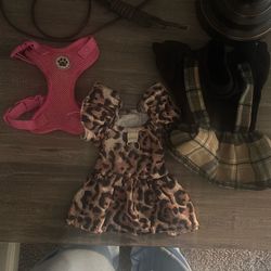 Puppy Girl Outfits
