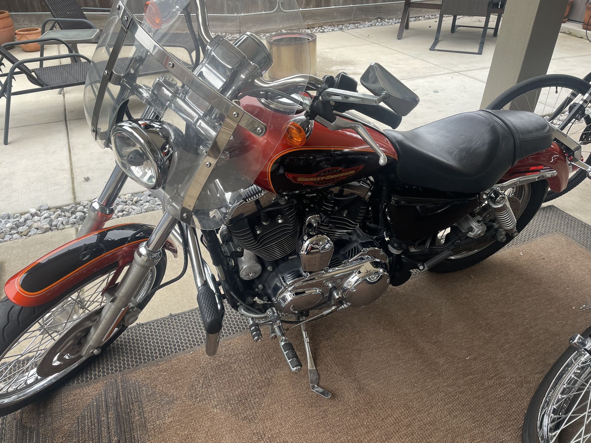2005 Harley Davidson Sportster 1200 custom