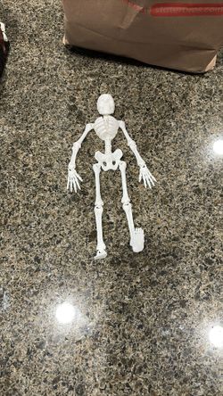 3d Printed Skeleton