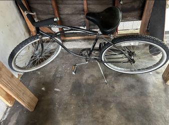 Original Schwinn Cruiser