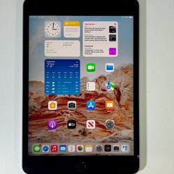 Apple iPad mini 4 128GB 8” Great Working Condition IOS:15.8 Fully Functional!!