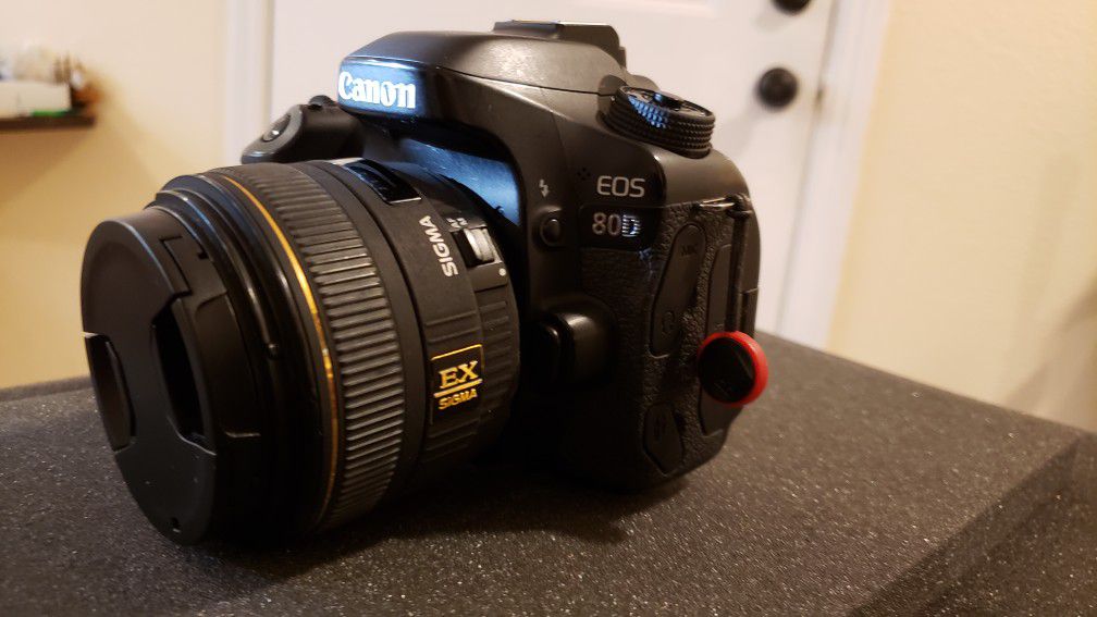 Canon 80D with Sigma lens