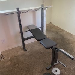 Bench Press With Dumbbell 