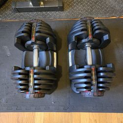 Bowflex 1090 Adjustable Dumbbells