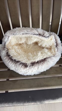 Cama para gatos