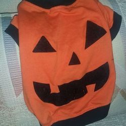  Small Dog/Cat Halloween Costume!