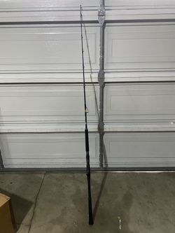 Phenix Megalodon 609 Jigging Rod