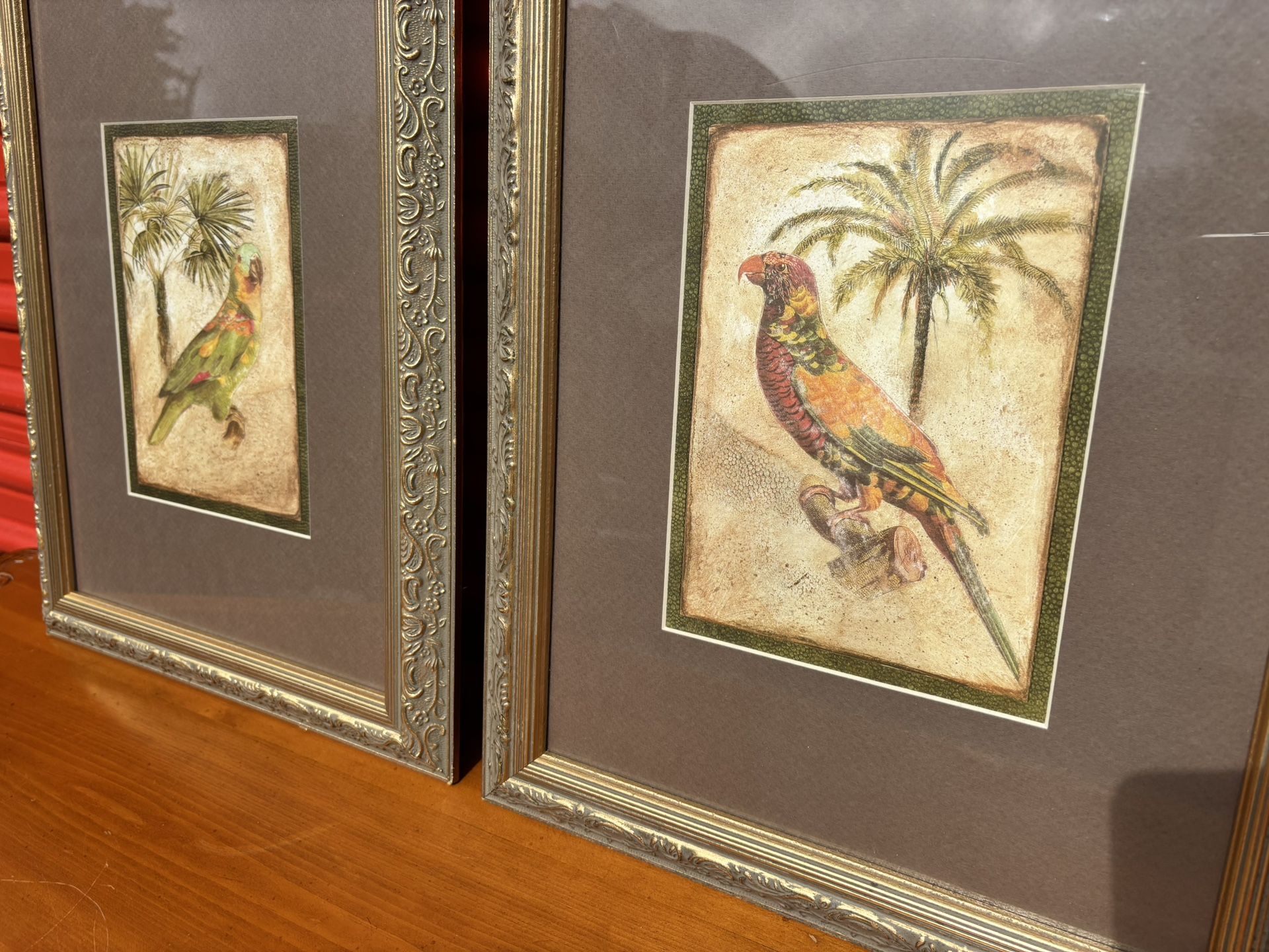 15x19 Framed Parrot Prints