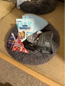 Dog travel soft carrier