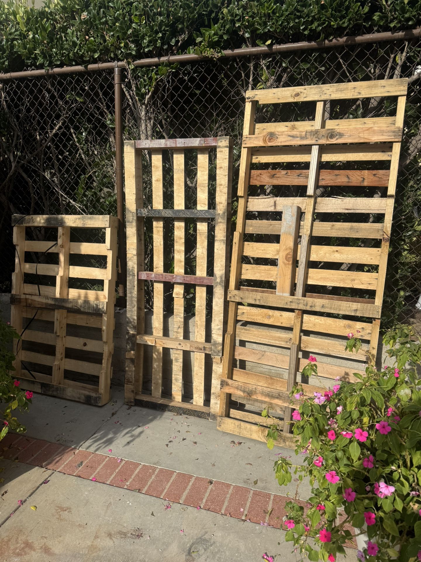 Free pallets