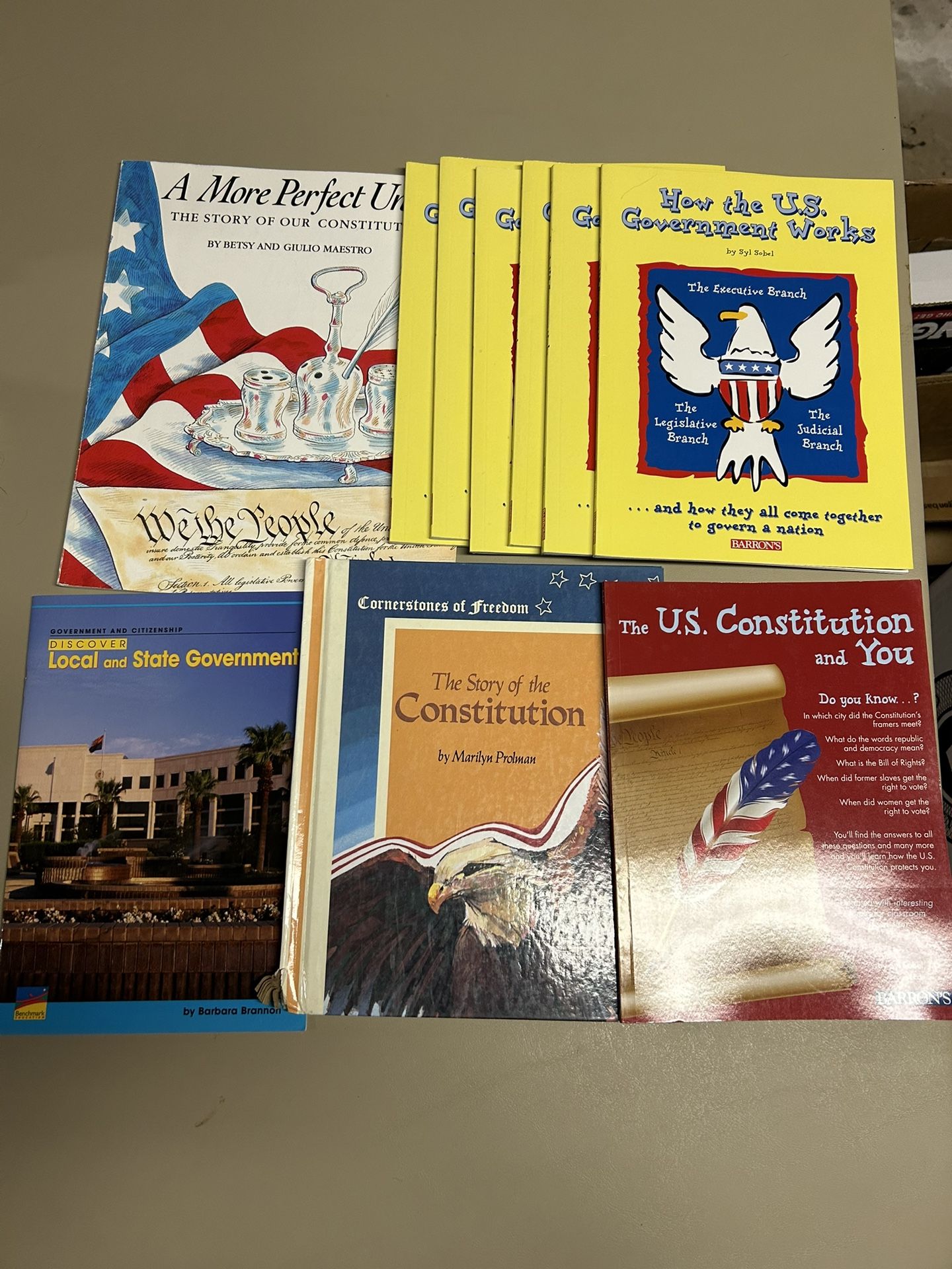 Children's Non-fiction Government Themed Picture Books Bundle