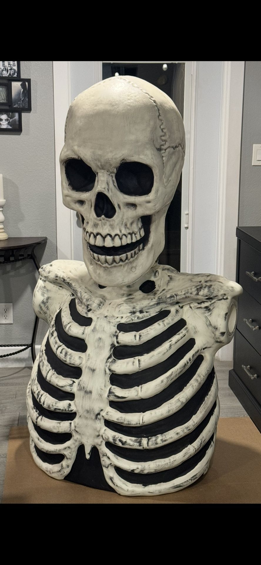 Half Skeleton