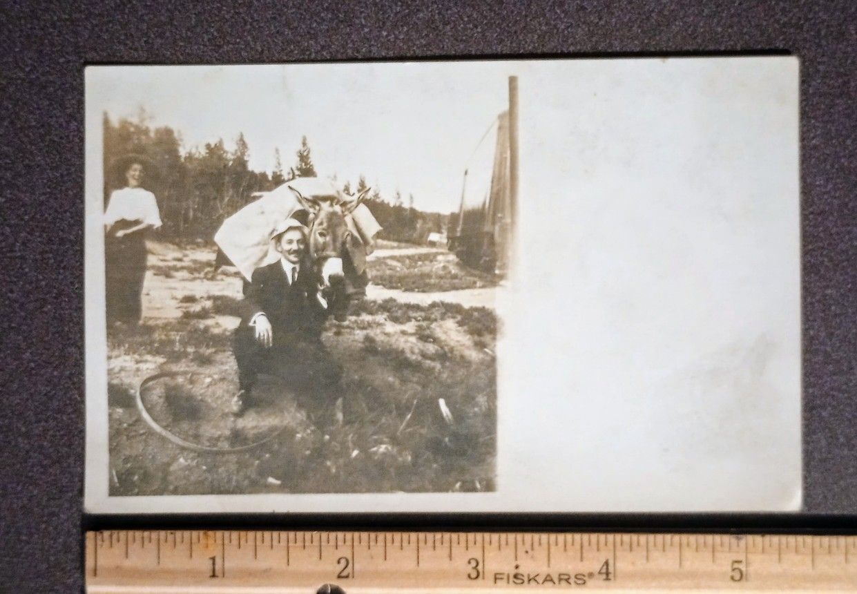 1900's Woman Laughing Man Mule Train Photo RPPC Antique Real Postcard