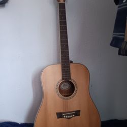 Peavey Acoustic Guitar 🎸 