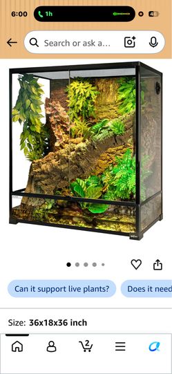 Repit zoo large
