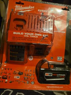 Milwaukee battery with charger