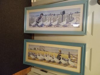Two Duck Photos Framed