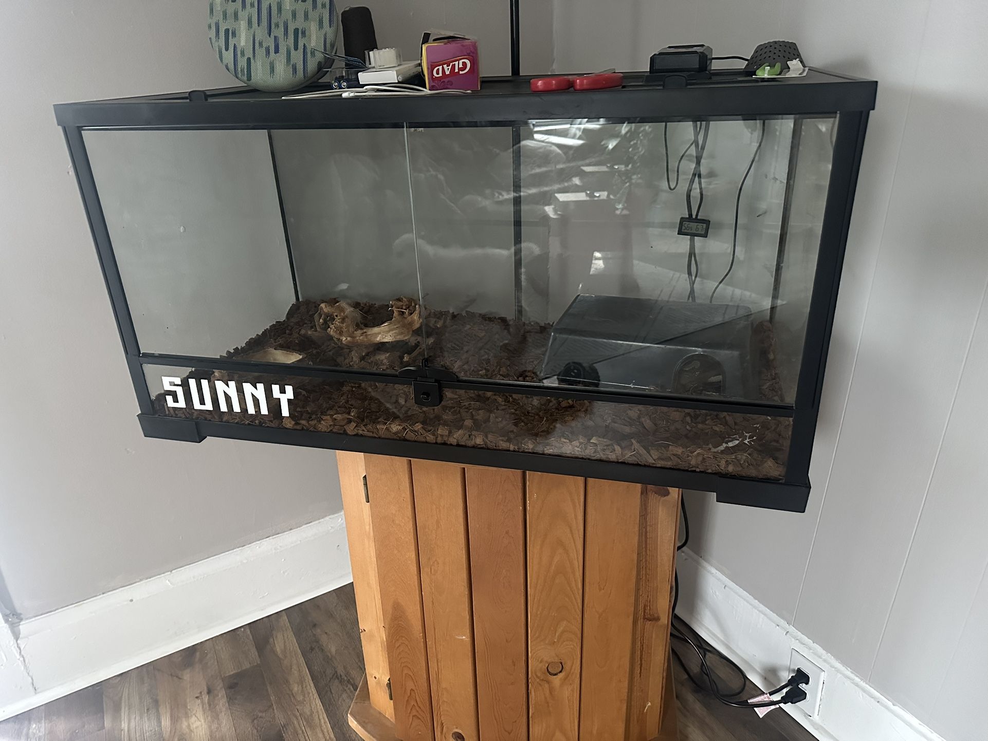 Ball Python Enclosure W Everything