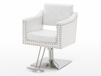 BarberPub Salon Chair for Hair Stylist, Hydraulic Barber Styling Chair, Beauty Spa Equipment 8813 (6" Seat Height Adjustment) (White)