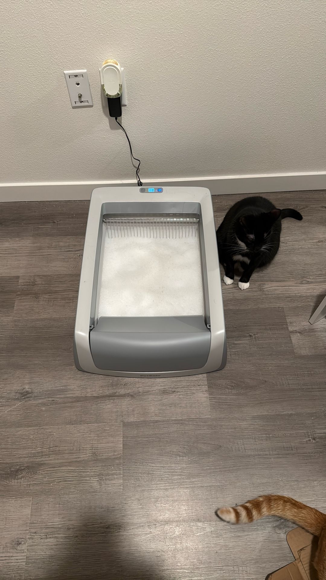 Automatic Litter box 
