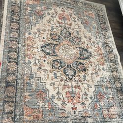 Washable Rug 5x7