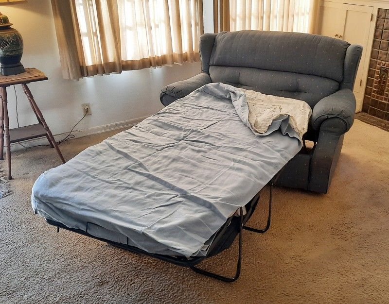 Leggett & Platt Sofa Bed Sleeper Couch