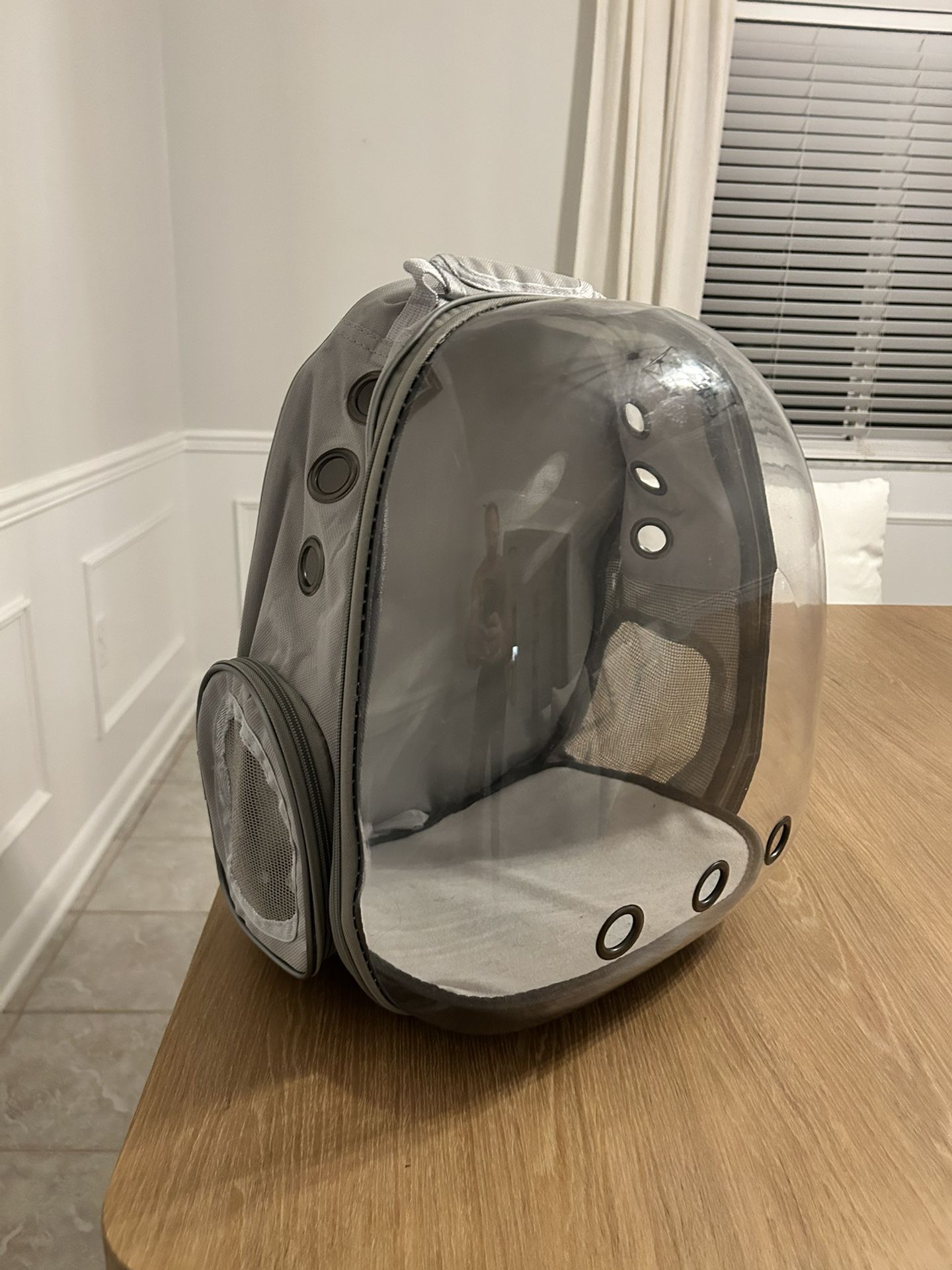 Pet (or Baby) (or Accessory) Backpack - Clear/See Through/Transparent
