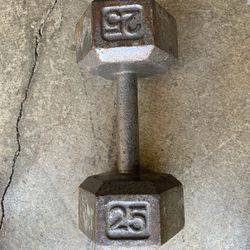 Single 25 Lbs Hex Dumbbell 