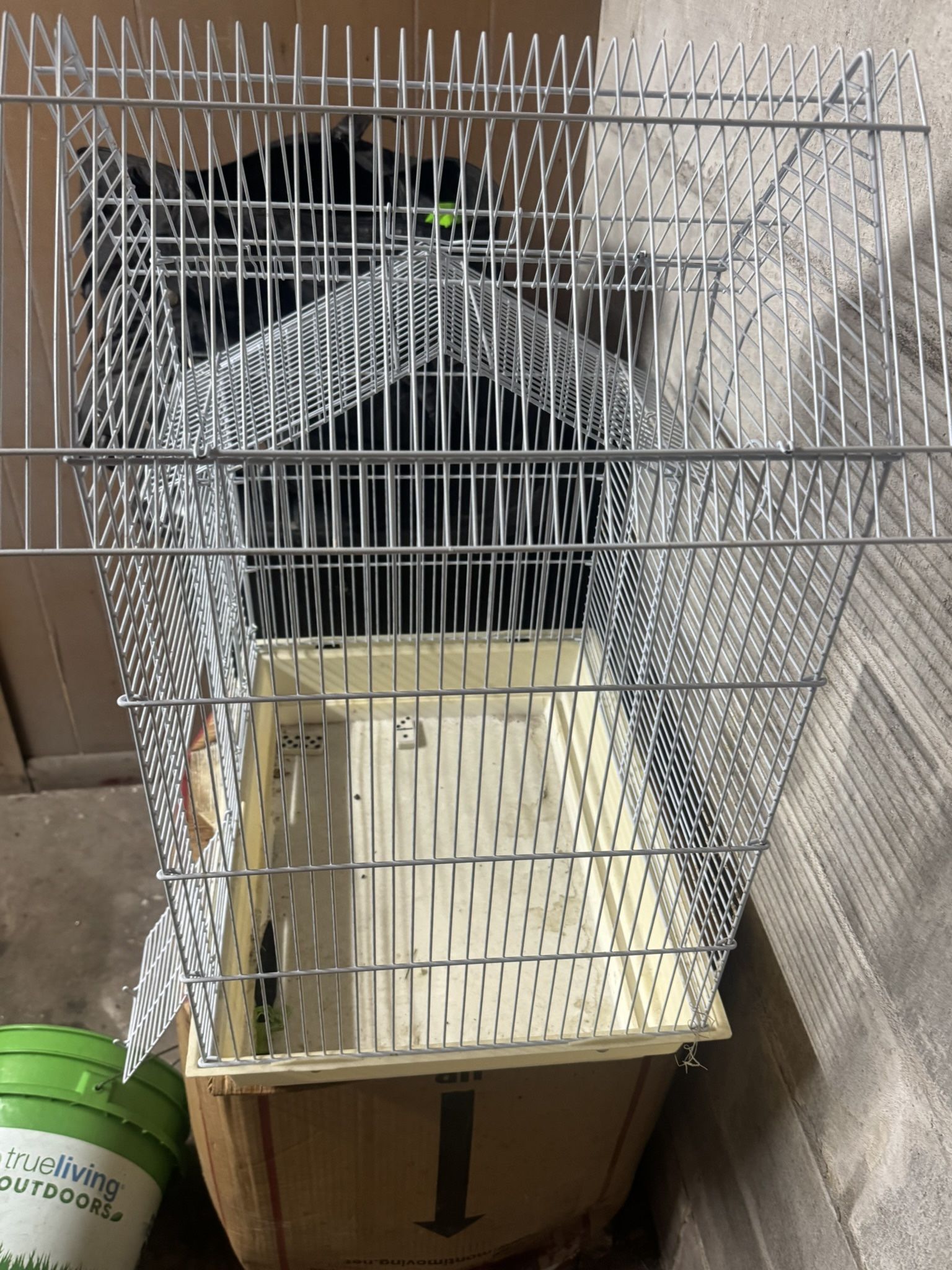 Bird Cage 