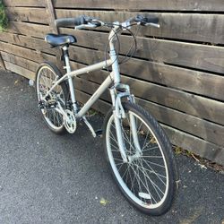 Nishiki City Bike Silver