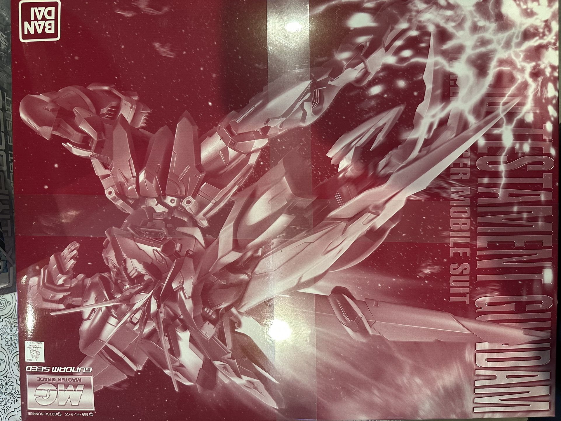 Gundam Mg RGX 00 Treatment