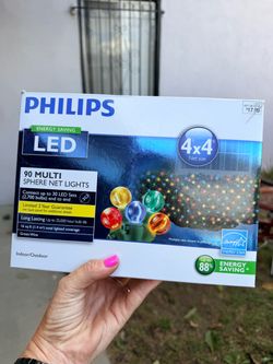 Philips LED Multi Sphere Net Lights 4x4 ft