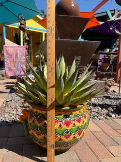Agave BLUE GLOW Succulent Plant in TALAVERA Pot