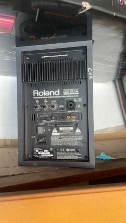Single Roland Speaker 